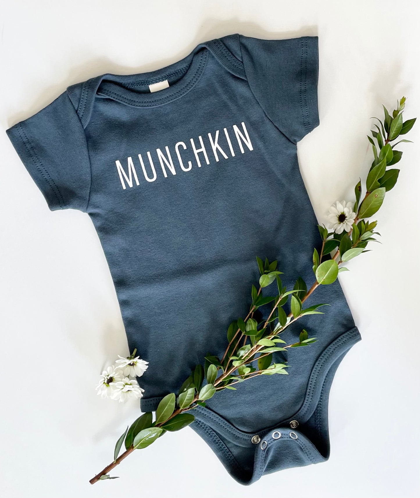 Munchkin Baby Onesie